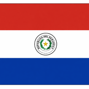 Bandera sublimada 99x65 cm tela tropical