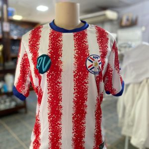 Remera Paraguay 100% sublimada 🇵🇾